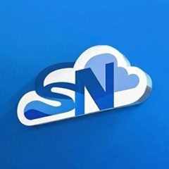 Synaforge AI Logo - 赛纳云创